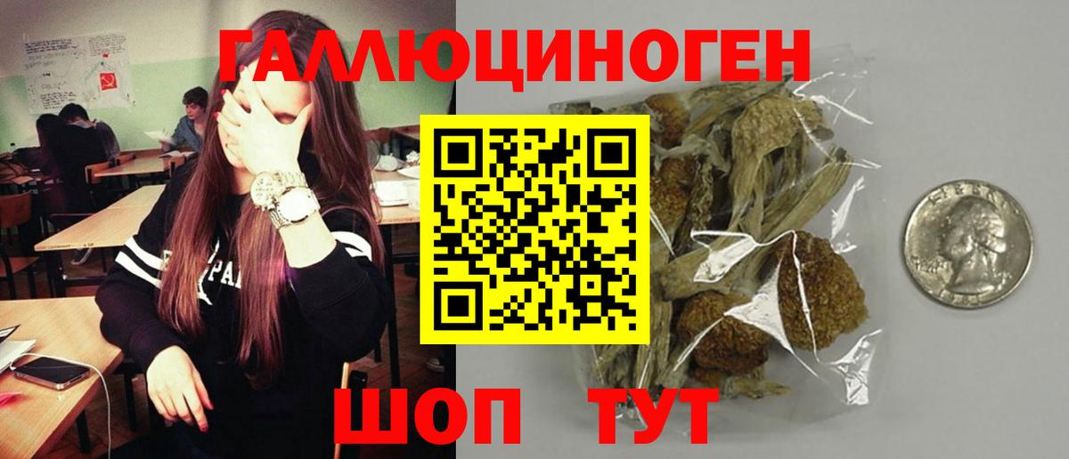 как найти   Псилоцибиновые грибы Psilocybe  Галлюциногенные грибы GOLDEN TEACHER  Вход с VPN  Ижевск 