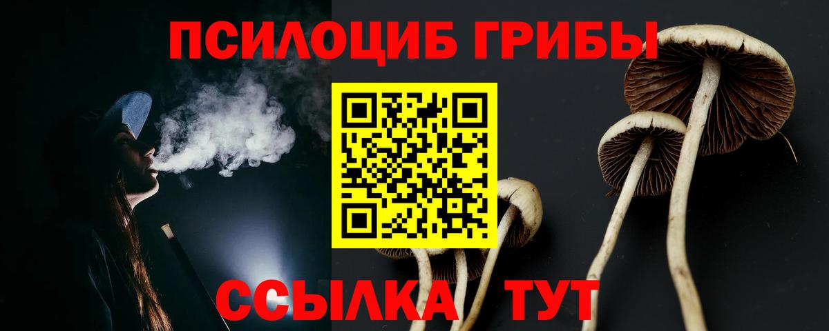 Псилоцибиновые грибы мицелий Ижевск